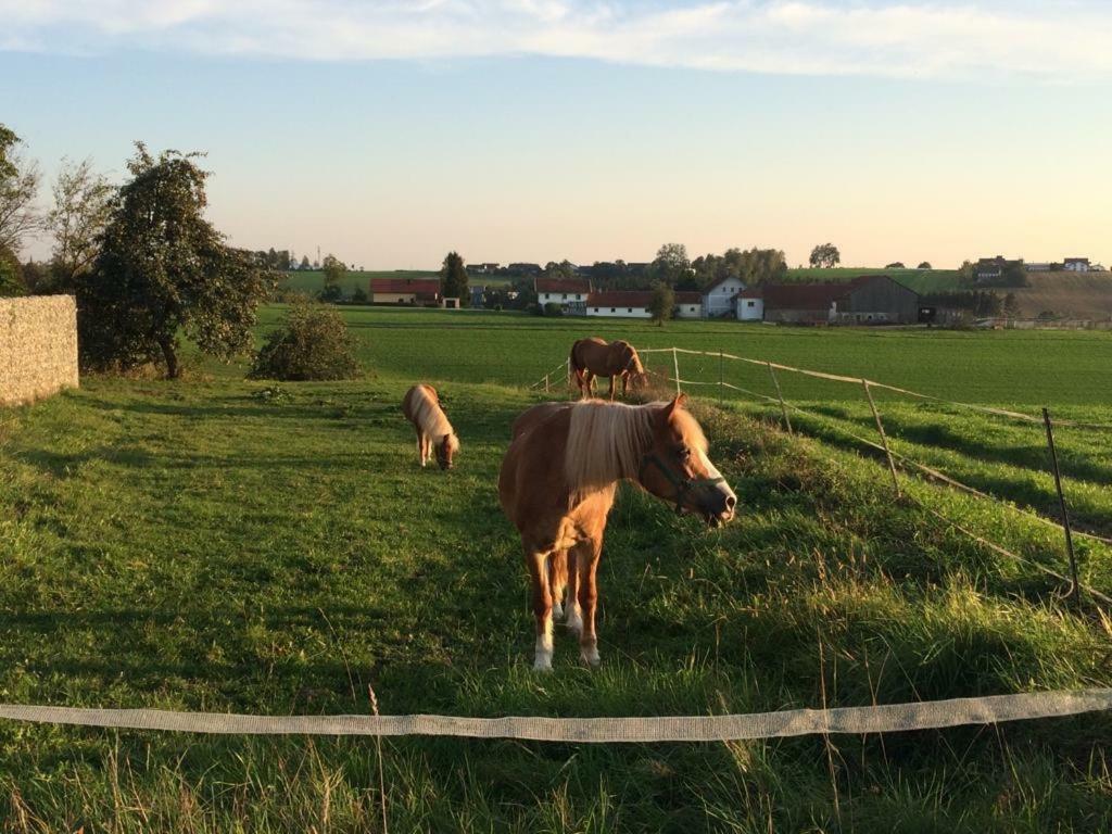 Ferienhof Loew Salzweg Zewnętrze zdjęcie