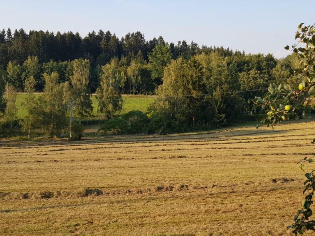 Ferienhof Loew Salzweg Zewnętrze zdjęcie