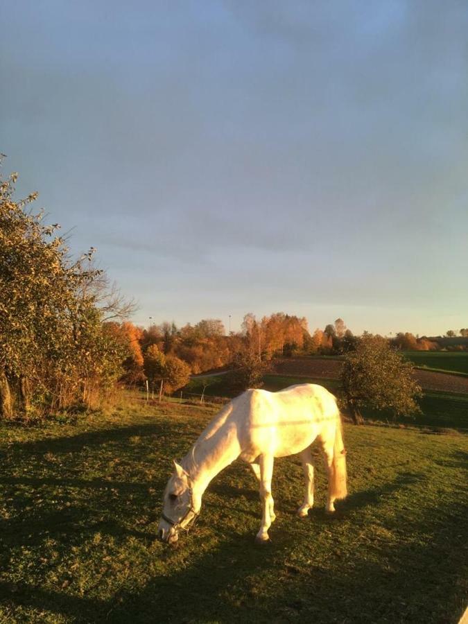 Ferienhof Loew Salzweg Zewnętrze zdjęcie
