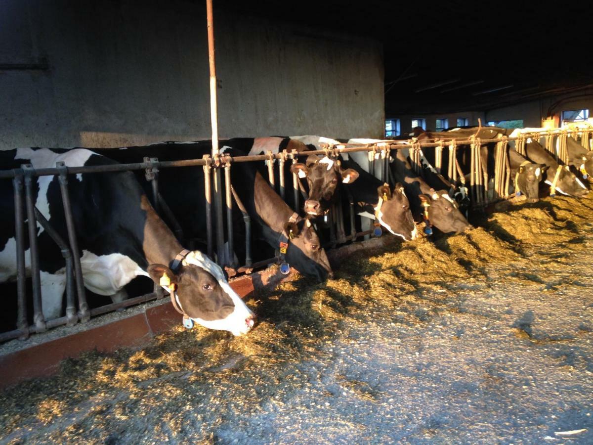 Ferienhof Loew Salzweg Zewnętrze zdjęcie